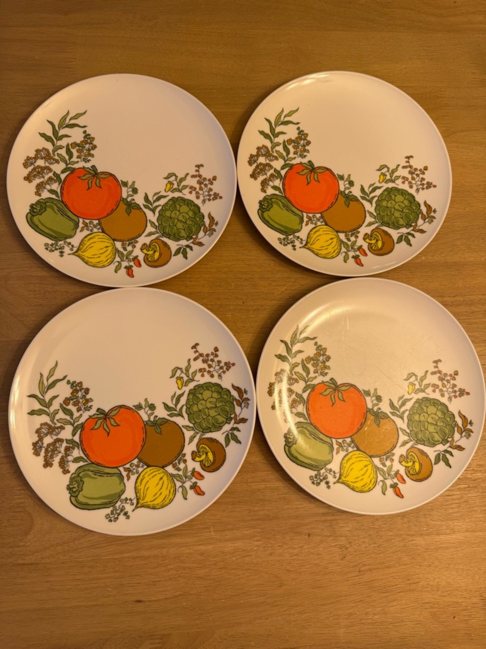 Vintage “Spice of Life” Melamine Dinner Plates Set (4)